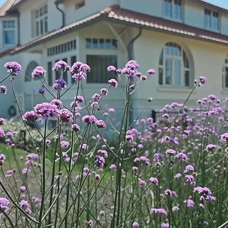 Vakantiewoning Maison Chardon Hébergement de vacances Coxyde